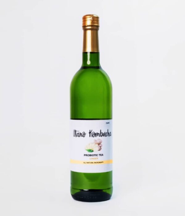 Probiotic Kombucha (glass bottle) - ginger flavoured