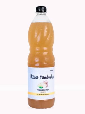 Probiotic Kombucha - ginger flavoured
